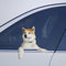 Akita Inu Aufkleber – Lustige Hundeliebhaber Geschenke: Auto, Laptop, Stoßstangenaufkleber