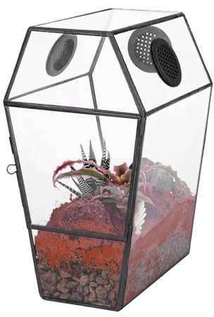 NCYP Glasgehäuse in Sargform mit Netz Entlüftungslöchern für Springspinnen, Insekten, Tür vorne öffnend, Schwarz geometrisches Terrarium (Ohne Pflanzen)
