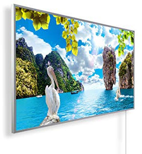 Bild-Infrarotheizung ✓ HD Qualität mit TÜV SÜD ✓ 5 Jahre Herstellergarantie ✓ Tolle Motive ✓ Überhitzungsschutz ✓ inkl. Thermostat ✓ 600W ✓ Motiv: 53. Delphine
