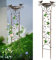 SUNNYPARK Bird Bath with Trellis Outdoor, Antique Garden Iron Plant Trellis with Decorative Hummingbirds Detachable Bird Bath Bowl Metal Potted Plant Support for Climbing Flowers
