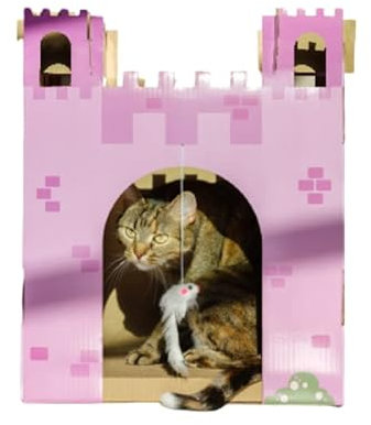 Midlee Pink Castle Cat Scratcher House
