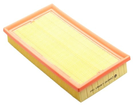 Castrol Filters CA0061 Air Filter