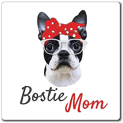 Retro Boston Terrier Hundebesitzer Geschenk Vintage Lustige Bostie Mama Cool Mama Grafik Männer Frauen Magnete 7,6 cm × 7,6 cm