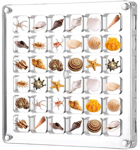 Andibro Caja de exhibición magnética de acrílico con 36 rejillas transparentes de conchas marinas, cajas de exhibición de joyas, contenedor pequeño organizador de manualidades para cuentas, joyas,