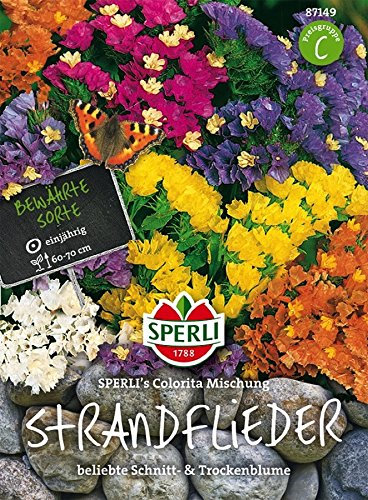 Sperli Strandflieder SPERLI`s Colorita Mischung | Schnittblumen | Bienenweide | Päckchen Samen
