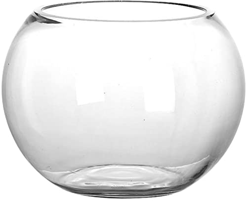 GANAZONO Bocal À Poissons en Verre Clair Terrarium Globe Fleur Vase Petit Réservoir De Poissons Rouges Bulle Planteur pour Arrangements D'événements De Mariage Décor À La Maison 20Cm