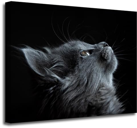 GP TONER Wanddekoration Kunstdruck modern Wandbilder Leinwanddruck Tiere Katze 50x40 cm