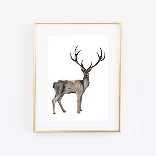 Din A4 Kunstdruck ungerahmt Hirsch Geweih Rotwild Natur Waldtier Aquarell Wasserfarbe Geschenk Druck Poster Deko Bild