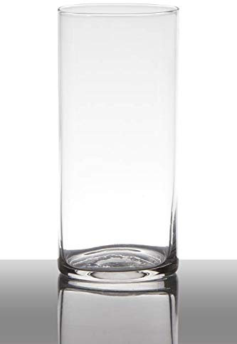 INNA-Glas Jarrón Sansa, cilíndrico/Redondo, Transparente, 19cm, Ø9cm - Florero Moderno - Recipiente de Cristal Decorativo