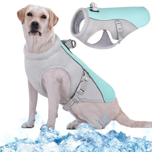 Kuoser Kühlweste für Hunde, Hundekühlungsmantel für heiße Sommertage, Atmungsaktive & Reflektierende Sicherheitsweste für Klein Mittel Hunde, Kühljacke für Aktivitäten Draußen Wandern Training Blau