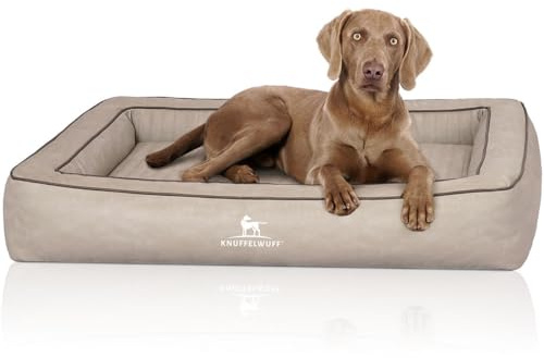 Knuffelwuff Orthopädisches Hundebett aus Laser gestepptem Kunstleder Montego S 70 x 50cm Grau - Abnehmbarer Bezug - leicht zu reinigen - für große, mittelgroße und kleine Hunde