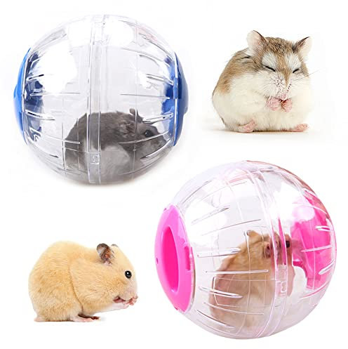 2 Pcs Boule d'exercice de Hamster, Jouet de Gerbille Plastique, Hamster Exercice Ball, Boule d'exercice de Hamster, Convient aux Hamsters, Cochons d'Inde, Gerbilles et Autres Animaux de Compagnie