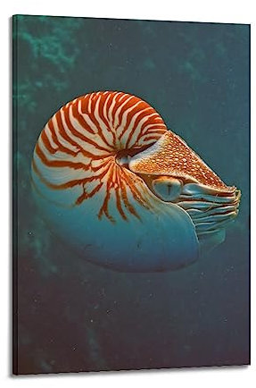 YBHF Poster mit Meerestier-Motiv Nautilus, Wandkunstdruck, Retro, ästhetische Raumdekoration, 20 x 30 cm, Rahmen-Stil