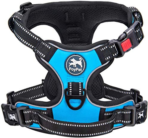 PoyPet Harnais pour chien sans pull - Réfléchissant - Avec poignée de contrôle facile et dos - Parfait pour l'entraînement quotidien, la marche, la course à pied (bleu, L)