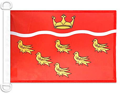 AZ FLAG East Sussex county Nautical Flag 18'' x 12'', East Sussex, England flags 30 x 45 cm, Banner 12x18 in for boat
