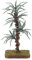 Holyart Palme 13cm für Krippe