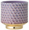 Nordring Pot de Fleur Goldy - Pots de Fleurs décoratifs Couleur pour intérieur Style rétro créatif M (12,5 cm ø), Violet, Céramique