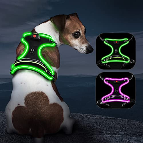Kpuplol Leuchtendes Hundegeschirr für Klein/Mittelgroße Hunde - LED Beleuchtetes Geschirr mit No Pull Design und Einstellbarer Größe - Green, Gestreift