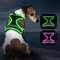 Kpuplol Leuchtendes Hundegeschirr für Klein/Mittelgroße Hunde - LED Beleuchtetes Geschirr mit No Pull Design und Einstellbarer Größe - Green, Gestreift