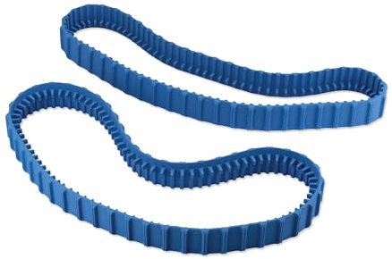 Dolphin Original-Ersatzteil - Langlebige Blaue Zahnriemen (2 Stück) - Teilenummer 99831521-R2
