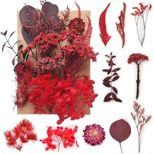 Cleminsta DIY Natürliche Trockenblumen Set Natürliche Getrocknete Blumen für Kunst Basteln DIY Epoxidharz Formen, Rot Blumen Natürliche Gemischte, Scrapbook Zubehör Karten Machen (Rot)