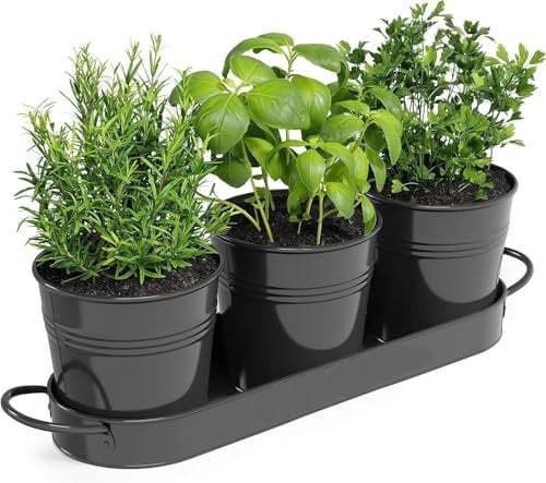 BSTMOME Set di vasi per erbe aromatiche con vassoio, per interni ed esterni, vasi decorativi in metallo per piante grasse, davanzale, vasi da fiori per la coltivazione della cucina (nero)