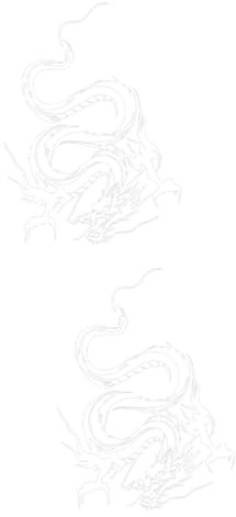 GALPADA 2stücke Dragon Car Sticker Wasserdichter Aufkleber Für Motorhaube Selbstklebendes Design Einzigartige Auto-dekoration Für Fahrzeugtyp