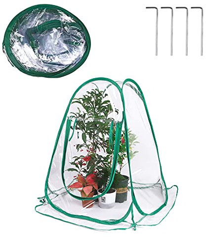 Mini Invernadero, Mini Invernadero Transparente, Kit de Invernadero en Miniatura con Ventana para Patio Interior y Exterior