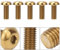 5PCS/ Pack M5x12 Bicycle Water Bottle Cage M5x10 Disc Brake Screws Titanium Alloy Bicycle Screws Set(M5¡Á12 Gold)