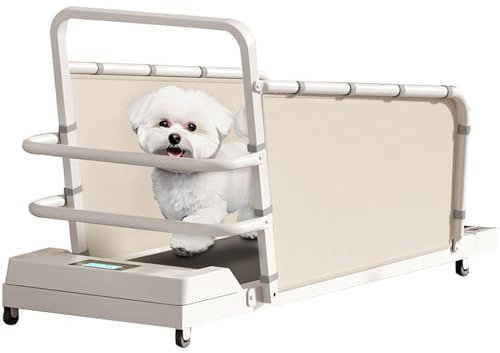 Hunde-Laufband für kleine und große Hunde, Katzen und andere Haustiere mit Fernbedienung – Indoor Pacer Laufband mit 12 Geschwindigkeitsstufen und LED-Display – EVA-Stoßdämpfung – bis zu 100 kg