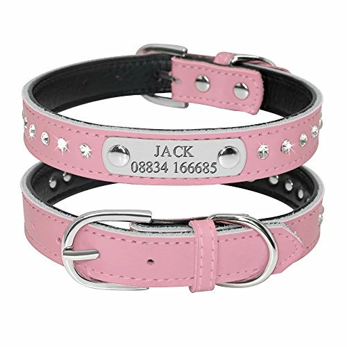 Didog Collier Rembourré en Cuir, avec Strass - pour Chiens et Chats de Petite et Moyenne Taille (Gravure Personnalisable)