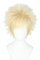 Topcosplay Anime Cosplay Perücke Kurz Perücke Blond für Halloween, Kostüm, Karneval