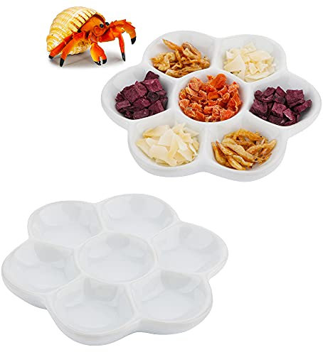 2 platos de cerámica para alimentos, cangrejo ermitaño, 7 compartimentos, cuenco antigiro para alimentos y agua (blanco)