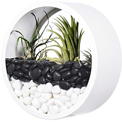 Ecosides Maceta Redonda de Metal para Colgar en Pared, jarrón de Cactus,suculenta,Maceta de Plantas Artificiales,terrario de Cristal Circular y contenedor Vertical para decoración hogar o Oficina