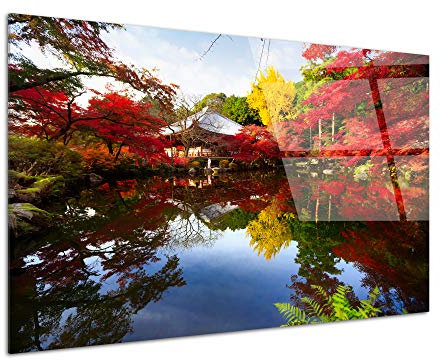 Delina Wandbild, Plexiglas, Reflektion auf dem Lack, mehrfarbig – Druck aus Glas Natur und Landschaft – Wanddekoration für Haus, Küche, Wohnzimmer, Schlafzimmer, Büro – 120 x 80 cm