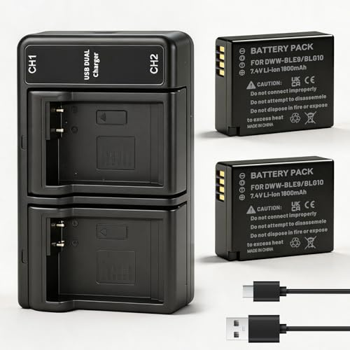 Lot de 2 batteries DMW-BLE9 DMW-BLG10 + LED USB double chargeur avec port de type C pour Panasonic DMW-BLG10E Lumix DC TZ202 GX9 DC-LX100 II TZ101 TZ91 TZ81 GF6 GX7 GX80 LX100