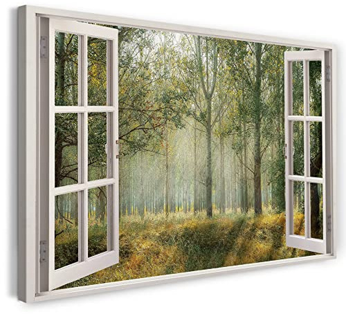 Print on Canvas (80x60 cm) view from the window - moss plants sun - nature photography, real wood frame with hook