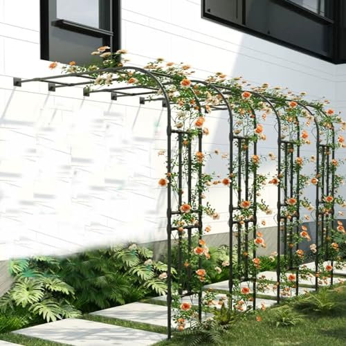 Rosenbogen Halbbogen,Wetterfest Gartenbogen Gartenlaube,Für Kletterpflanzen Außenbereich Wandmontage Halbrund Torbogen,Rankhilfe Stabiles Rankbogen Rosen Bogen Für Kletterpflanzen ( Color : Weiss , Gr