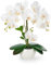 PASCH® Orchideen künstlich in Hochglanz-Keramiktopf (40cm) | Kunstblumen im Topf | Kunstblumen wie echt | künstliche Orchideen im Topf | künstliche Blumen im Topf | Kunstblume Orchidee