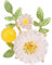 UYRVAPE Femmes broches marguerite, élégantes Broches à la Mode Écharpe Broche Clip Badge Corsage, Broches femmes cadeaux d'anniversaire fleurs bijoux mariage bouquets fête fête fête des mères Noël
