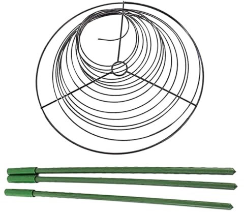 FONDOTIN 1satz Spiral Rankgitter Für Kletterpflanzen Stabiler Pflanzenstützrahmen Für Töpfe Im Innenbereich Für Blühende Pflanzen Und Gemüse Einfach Zu Handhaben Installieren Für