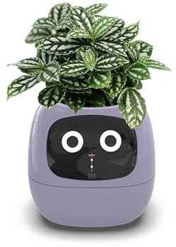 Genérico Tuya Maceta Inteligente Robot Adorable Compañero de Plantas Maceta Inteligente 7 Sensores Inteligentes Tiempo/Fecha/Luminosidad/Muestra de Humedad Maceta Ai Planter (Morado)