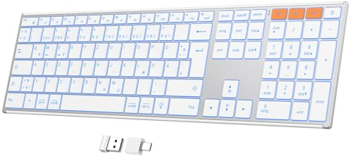 OMOTON Tastatur Kabellose Beleuchtet, Bluetooth + 2,4G, QWERTZ, Silber | Metallgehäuse, Multi-Device, Wiederaufladbar, Leise, Ergonomische, Windows/macOS/PC, Büro/Homeoffice/Reisen