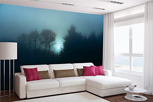 Mantiburi Papier peint photo non tissé Motif forêt nocturne brumeuse 375 x 250 cm (avec colle) – Papier peint non tissé – Papier peint mural – Papier peint mural