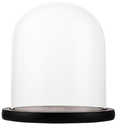 GBACHOOSE Glasglocke mit Holzboden, 17 cm Hoch Glasglocke Deko Klare Glaskuppel mit Tablett Dekorative Glashaube Glasglocke für Laternen, Tischdekorationen, Antiquitäten, Puppen