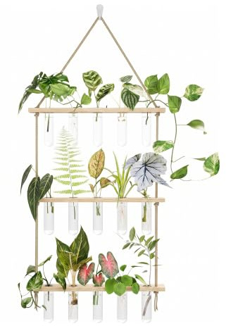 Bamworld Pflanzen Propagator Station mit 15 Reagenzgläsern und Holzständer für Pflanzenstecklinge, Hydrokultur, Sukkulenten, Zimmerpflanzen Zubehör zur Anzucht und Innendekoration