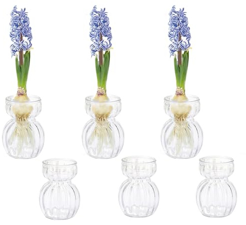 Hyacinth Bulb Vase Avocado Innjoii 6pcs Small Clear Glass for Centrepiece Table Decoration Bud Vases Propagation Station for Plant Lovers Home Decor Floral Wedding Living Room Holidays, 12.3cm(H)