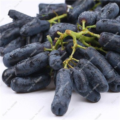 Dedo de oro de semilla de uva perennes plantas de vid de hierbas suculentas, Juicy no-GMO vegetal de la fruta de la semilla y Jardín 50 PC 2