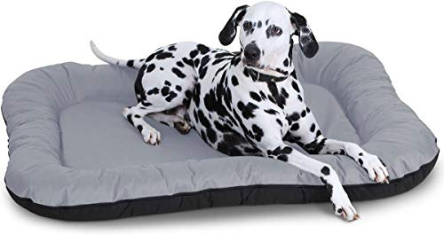 Knuffelwuff Wasserfestes In und Outdoor Hundebett Lucky aus Nylongewebe L 70 x 46cm Grau - abnehmbarer Bezug - waschbar - für große, mittelgroße und kleine Hunde