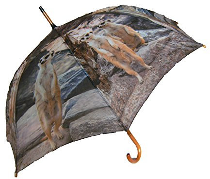 Regenschirm Erdmännchen mit Holzgriff, Automatikschirm, Stockschirm